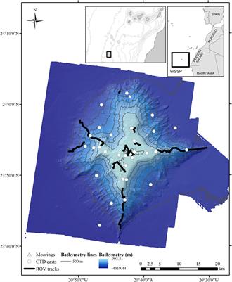 Characterization and Mapping of a Deep-Sea Sponge Ground on the Tropic Seamount (Northeast Tropical Atlantic): Implications for Spatial Management in the High Seas